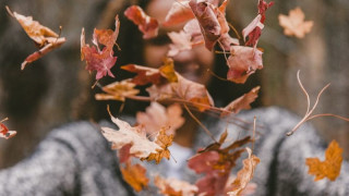 Smiling person throws autumn leaves playfully